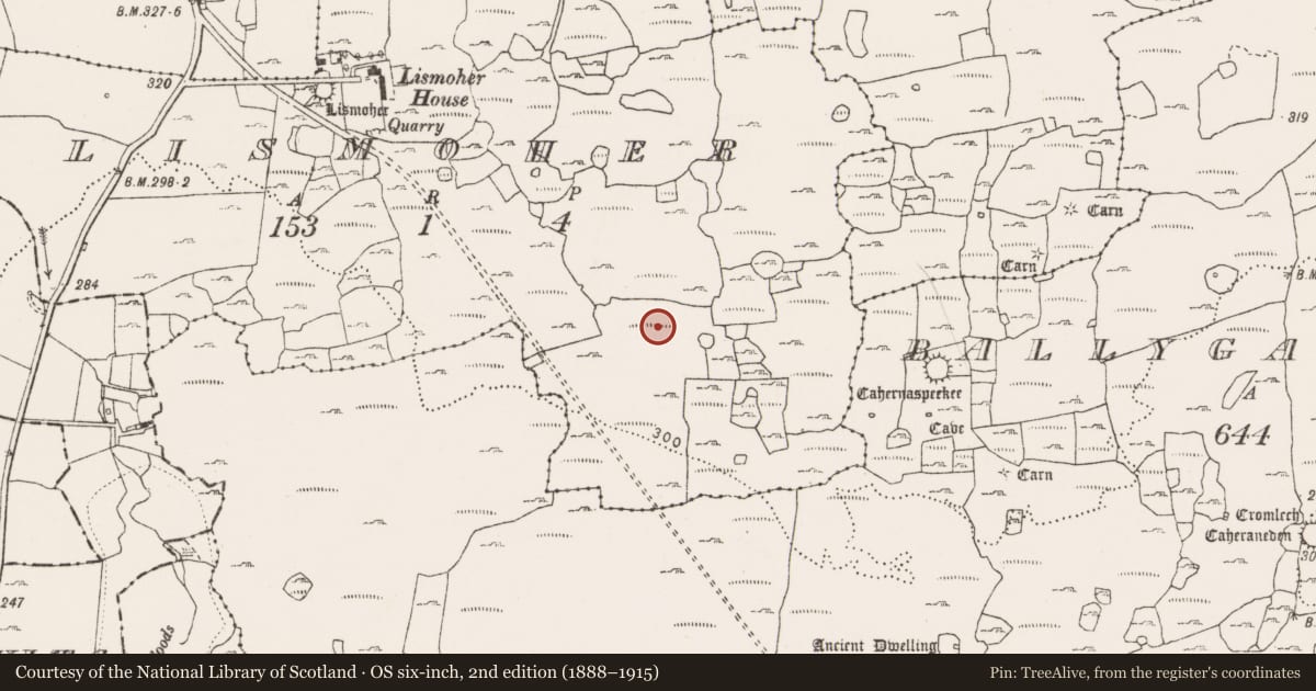 Ordnance Survey six-inch map, 2nd edition (1888–1915) covering the location of Enclosure, Lismoher, County Clare, with a pin at the register's coordinates