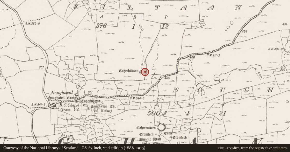Ordnance Survey six-inch map, 2nd edition (1888–1915) covering the location of Ringfort - cashel, Kiltaan, County Clare, with a pin at the register's coordinates