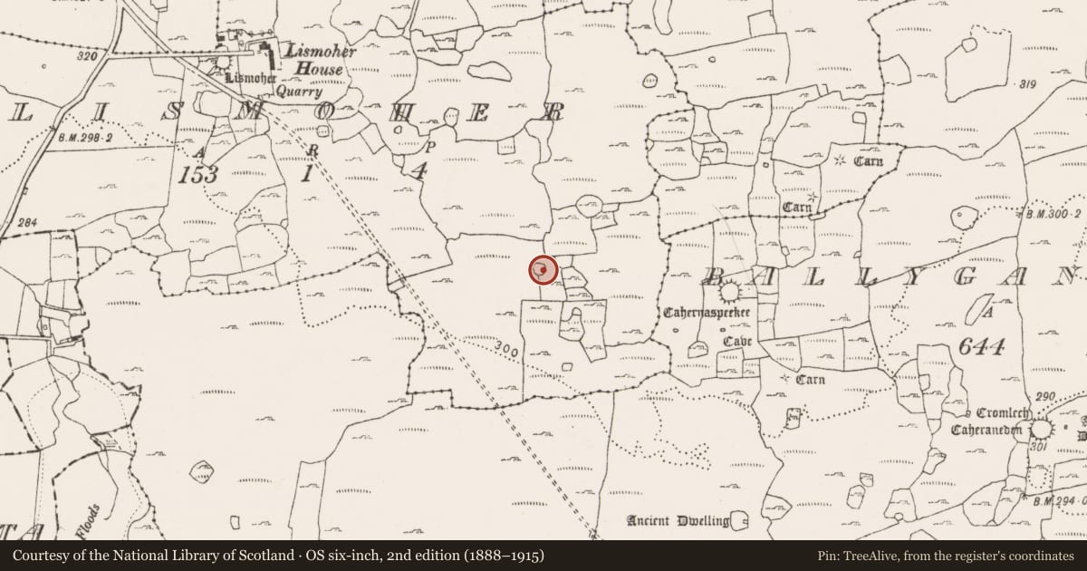 Ordnance Survey six-inch map, 2nd edition (1888–1915) covering the location of Ringfort - cashel, Lismoher, County Clare, with a pin at the register's coordinates