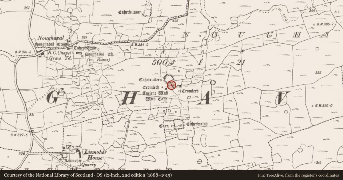 Ordnance Survey six-inch map, 2nd edition (1888–1915) covering the location of Cairn - unclassified, Noughaval, County Clare, with a pin at the register's coordinates