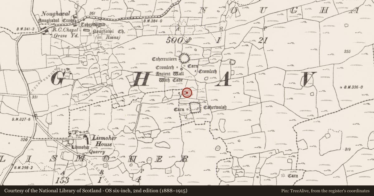 Ordnance Survey six-inch map, 2nd edition (1888–1915) covering the location of Enclosure, Noughaval, County Clare, with a pin at the register's coordinates