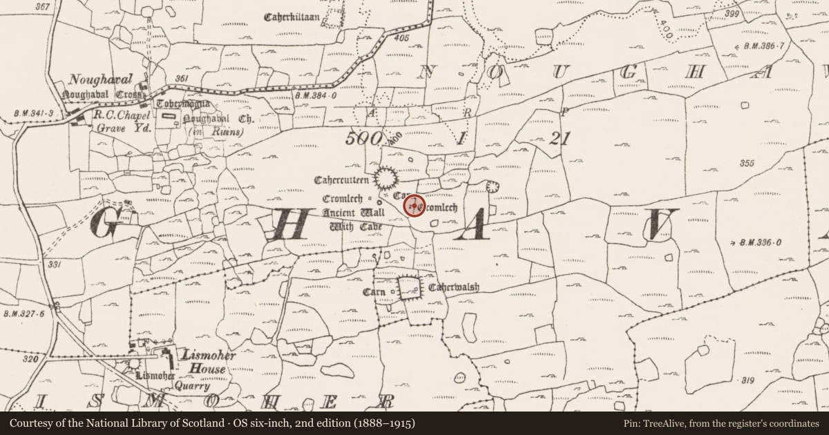 Ordnance Survey six-inch map, 2nd edition (1888–1915) covering the location of Megalithic structure, Noughaval, County Clare, with a pin at the register's coordinates