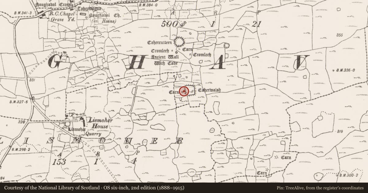 Ordnance Survey six-inch map, 2nd edition (1888–1915) covering the location of Hut site, Noughaval, County Clare, with a pin at the register's coordinates