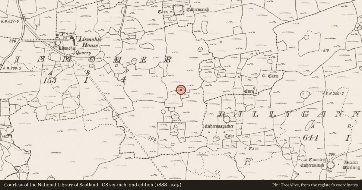Ordnance Survey six-inch map, 2nd edition (1888–1915) covering the location of Enclosure, Lismoher, County Clare, with a pin at the register's coordinates