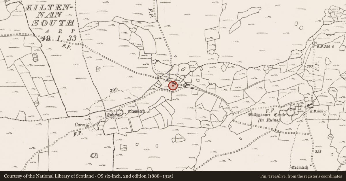 Ordnance Survey six-inch map, 2nd edition (1888–1915) covering the location of Souterrain, Ballyganner North, County Clare, with a pin at the register's coordinates