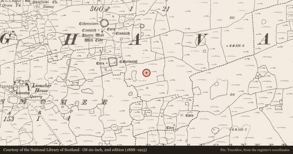 Ordnance Survey six-inch map, 2nd edition (1888–1915) covering the location of Enclosure, Noughaval, County Clare, with a pin at the register's coordinates