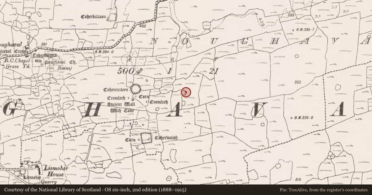Ordnance Survey six-inch map, 2nd edition (1888–1915) covering the location of Ringfort - cashel, Noughaval, County Clare, with a pin at the register's coordinates