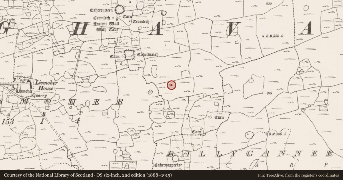 Ordnance Survey six-inch map, 2nd edition (1888–1915) covering the location of Hut site, Noughaval, County Clare, with a pin at the register's coordinates