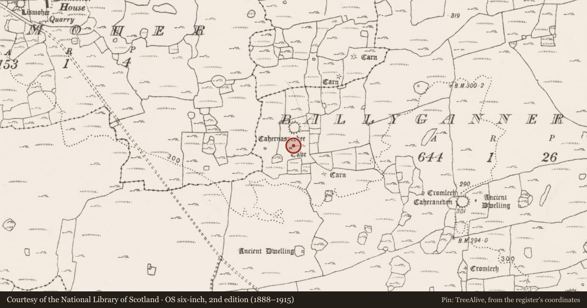 Ordnance Survey six-inch map, 2nd edition (1888–1915) covering the location of Souterrain, Ballyganner North, County Clare, with a pin at the register's coordinates