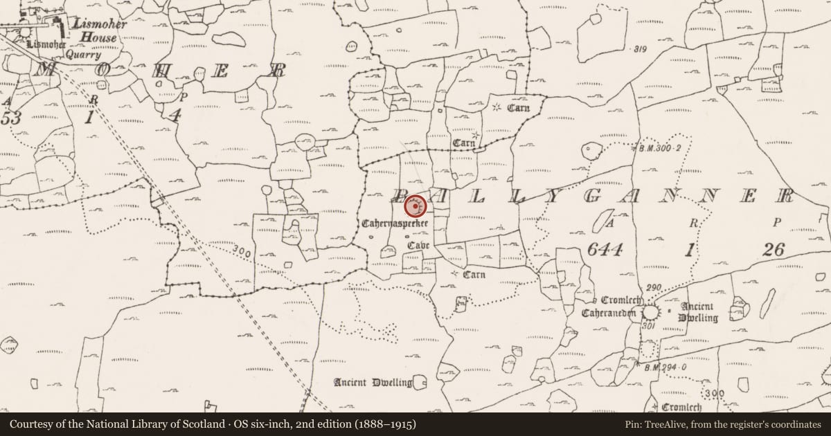 Ordnance Survey six-inch map, 2nd edition (1888–1915) covering the location of Ringfort - cashel, Ballyganner North, County Clare, with a pin at the register's coordinates