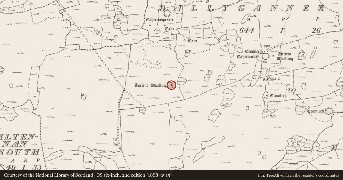 Ordnance Survey six-inch map, 2nd edition (1888–1915) covering the location of Ringfort - cashel, Ballyganner North, County Clare, with a pin at the register's coordinates