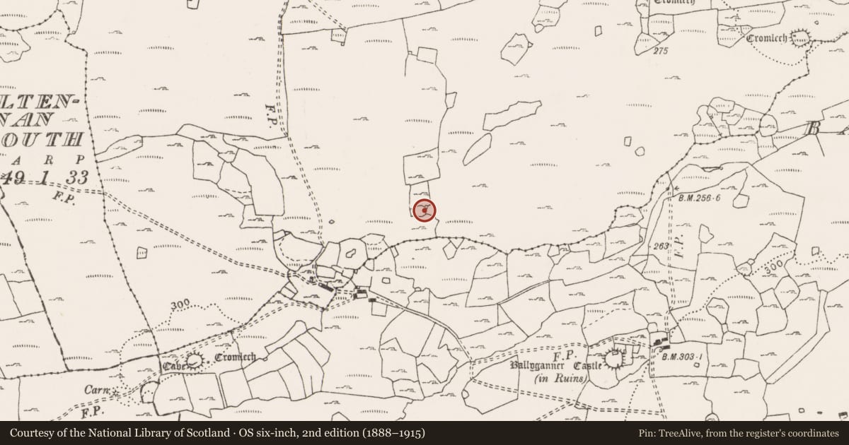 Ordnance Survey six-inch map, 2nd edition (1888–1915) covering the location of Ringfort - cashel, Ballyganner North, County Clare, with a pin at the register's coordinates