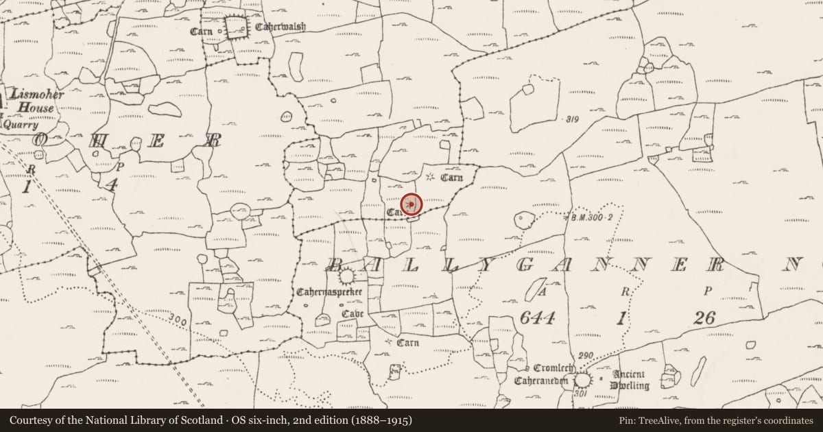 Ordnance Survey six-inch map, 2nd edition (1888–1915) covering the location of Cairn - unclassified, Noughaval, County Clare, with a pin at the register's coordinates