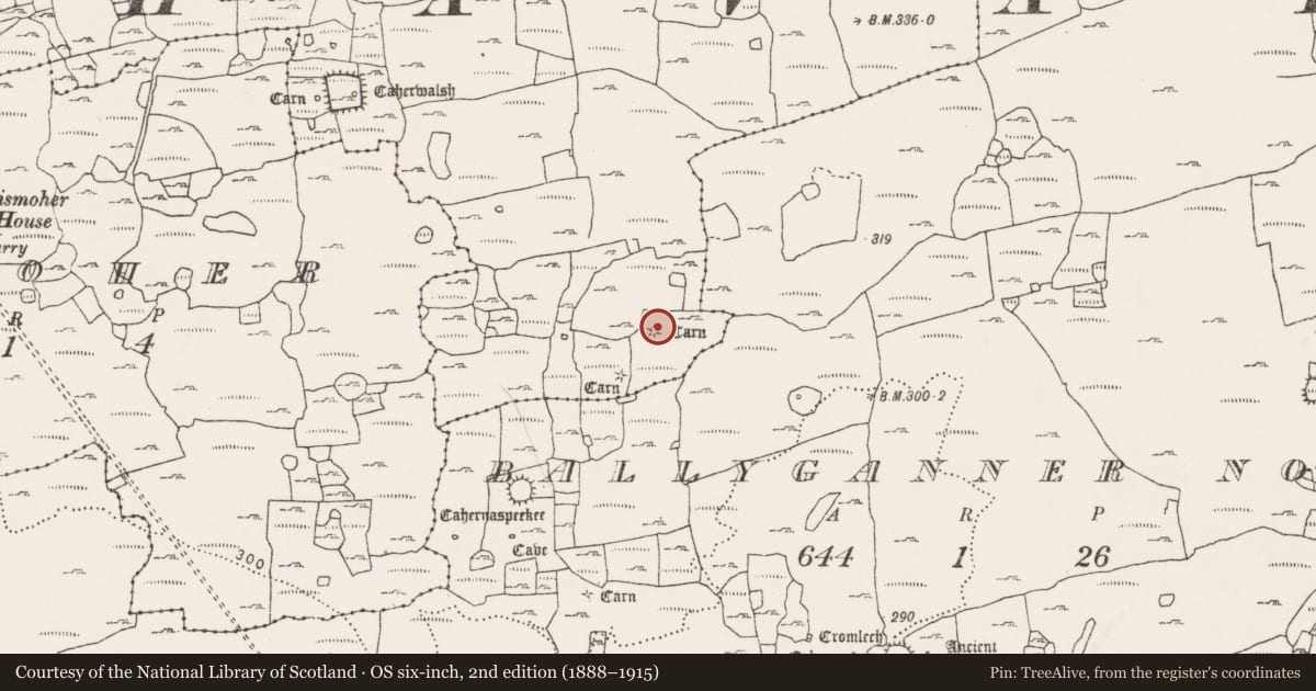 Ordnance Survey six-inch map, 2nd edition (1888–1915) covering the location of Cairn - unclassified, Noughaval, County Clare, with a pin at the register's coordinates