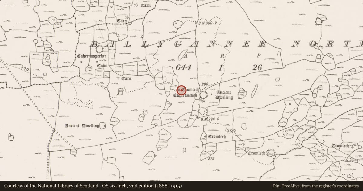 Ordnance Survey six-inch map, 2nd edition (1888–1915) covering the location of Megalithic tomb - court tomb, Ballyganner North, County Clare, with a pin at the register's coordinates