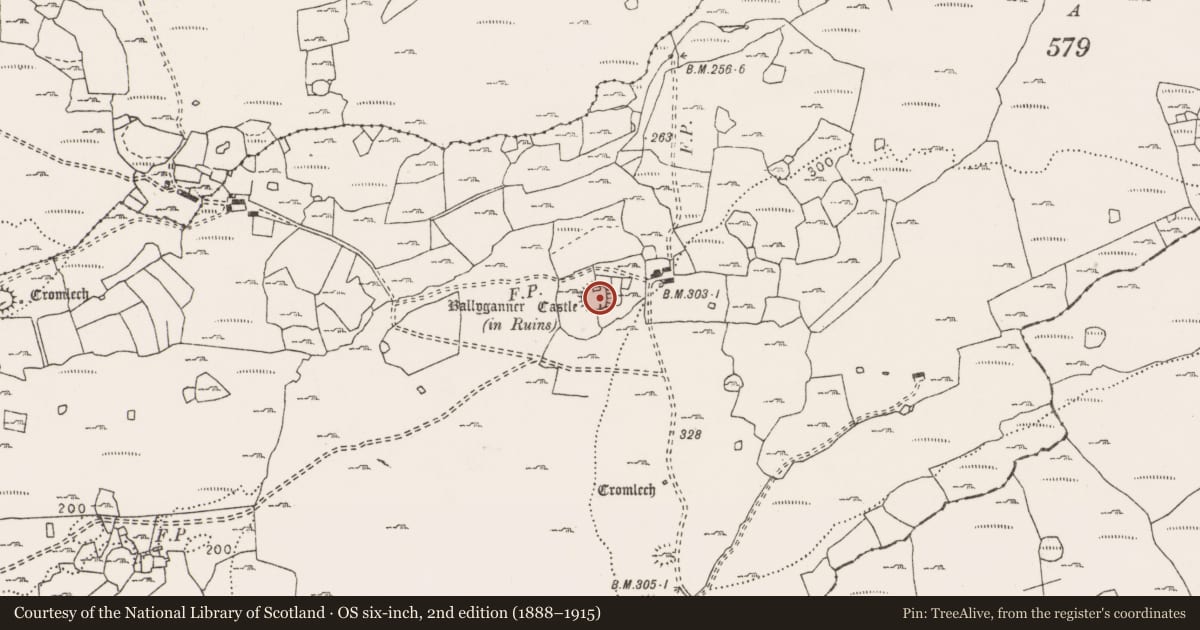 Ordnance Survey six-inch map, 2nd edition (1888–1915) covering the location of Ringfort - cashel, Ballyganner South, County Clare, with a pin at the register's coordinates