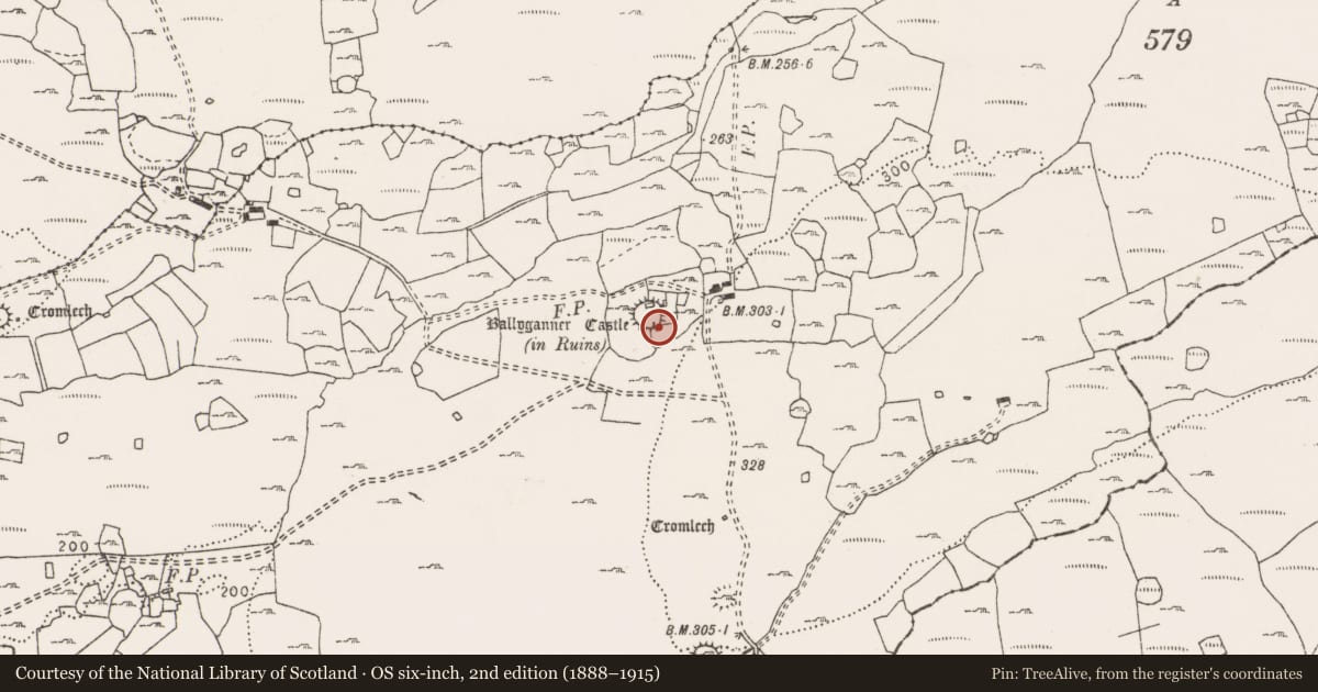 Ordnance Survey six-inch map, 2nd edition (1888–1915) covering the location of Castle - tower house, Ballyganner South, County Clare, with a pin at the register's coordinates