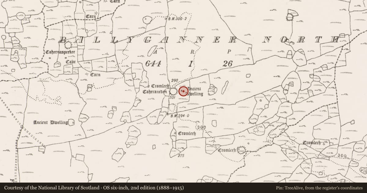 Ordnance Survey six-inch map, 2nd edition (1888–1915) covering the location of Megalithic structure, Ballyganner North, County Clare, with a pin at the register's coordinates