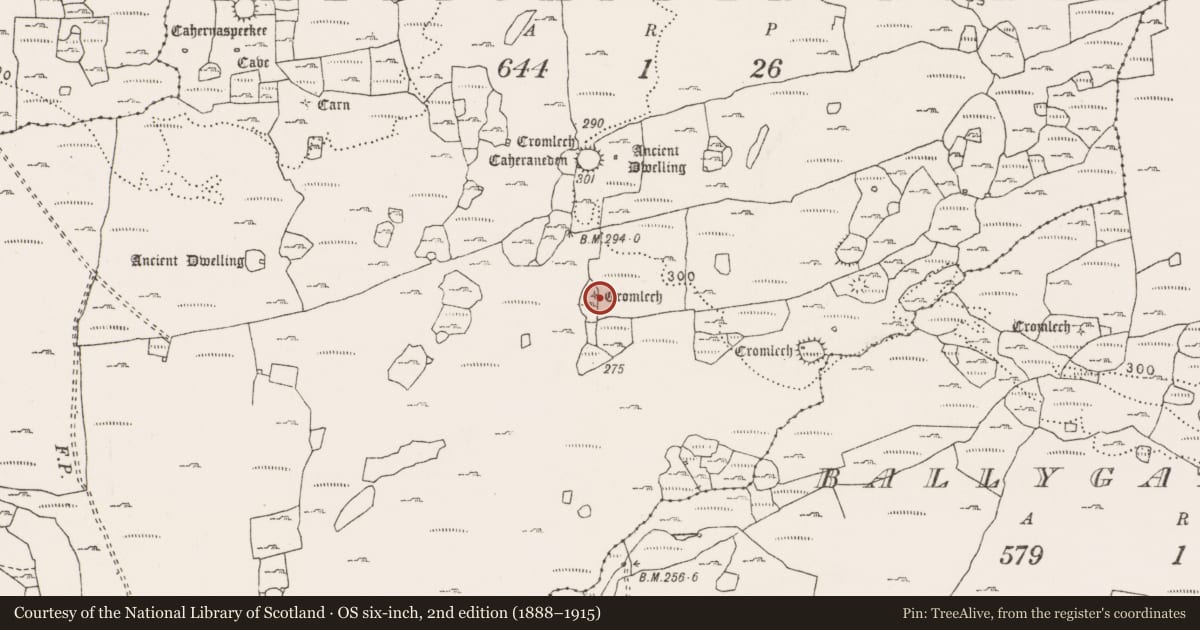 Ordnance Survey six-inch map, 2nd edition (1888–1915) covering the location of Megalithic tomb - wedge tomb, Ballyganner North, County Clare, with a pin at the register's coordinates