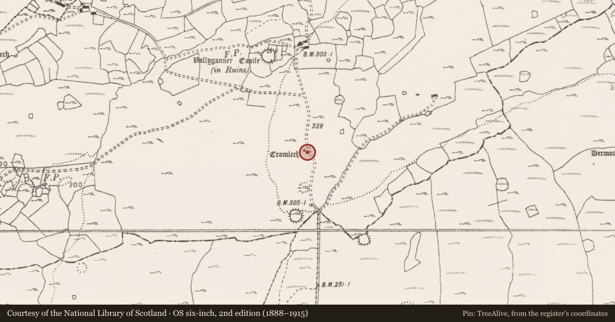 Ordnance Survey six-inch map, 2nd edition (1888–1915) covering the location of Megalithic tomb - wedge tomb, Ballyganner South, County Clare, with a pin at the register's coordinates