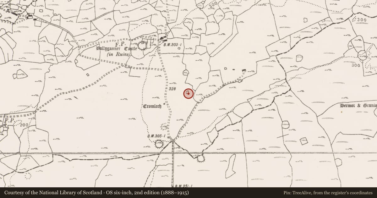 Ordnance Survey six-inch map, 2nd edition (1888–1915) covering the location of Enclosure, Ballyganner South, County Clare, with a pin at the register's coordinates
