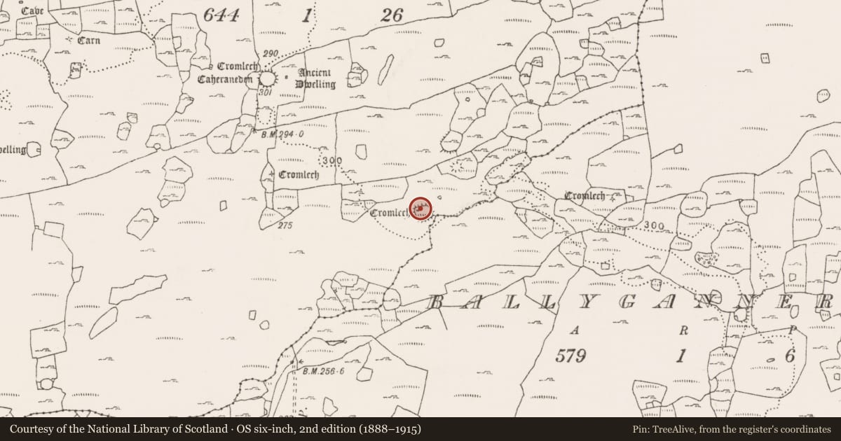Ordnance Survey six-inch map, 2nd edition (1888–1915) covering the location of Megalithic tomb - wedge tomb, Ballyganner North, County Clare, with a pin at the register's coordinates