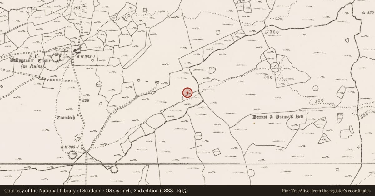 Ordnance Survey six-inch map, 2nd edition (1888–1915) covering the location of Enclosure, Ballyganner South, County Clare, with a pin at the register's coordinates