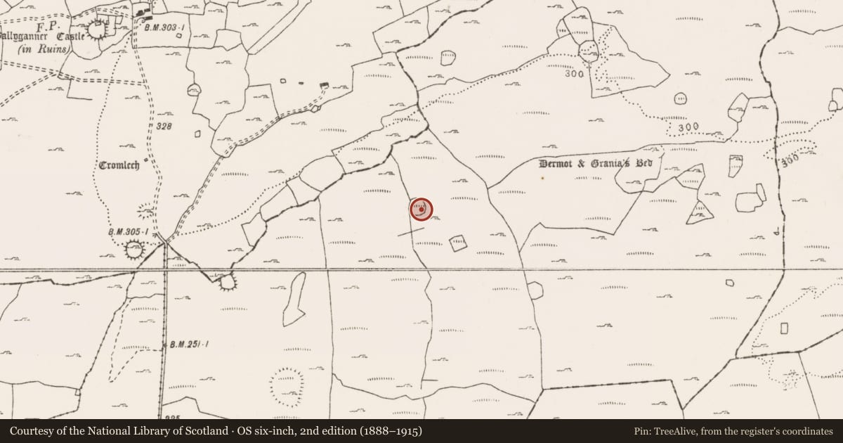 Ordnance Survey six-inch map, 2nd edition (1888–1915) covering the location of Ringfort - cashel, Clooneen, County Clare, with a pin at the register's coordinates