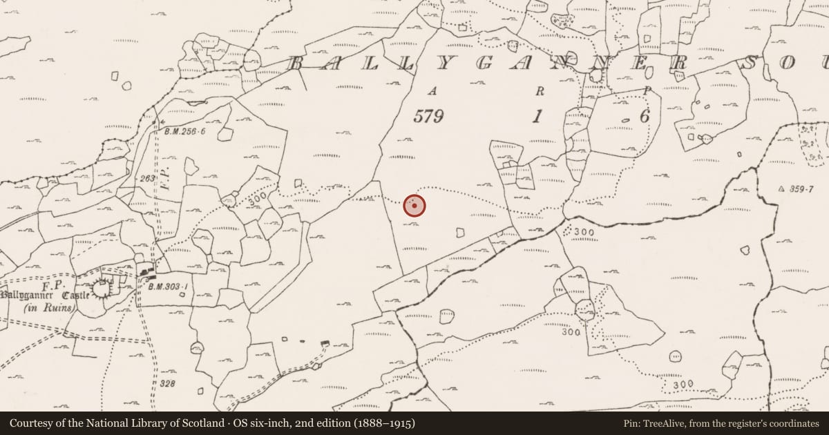 Ordnance Survey six-inch map, 2nd edition (1888–1915) covering the location of Enclosure, Ballyganner South, County Clare, with a pin at the register's coordinates