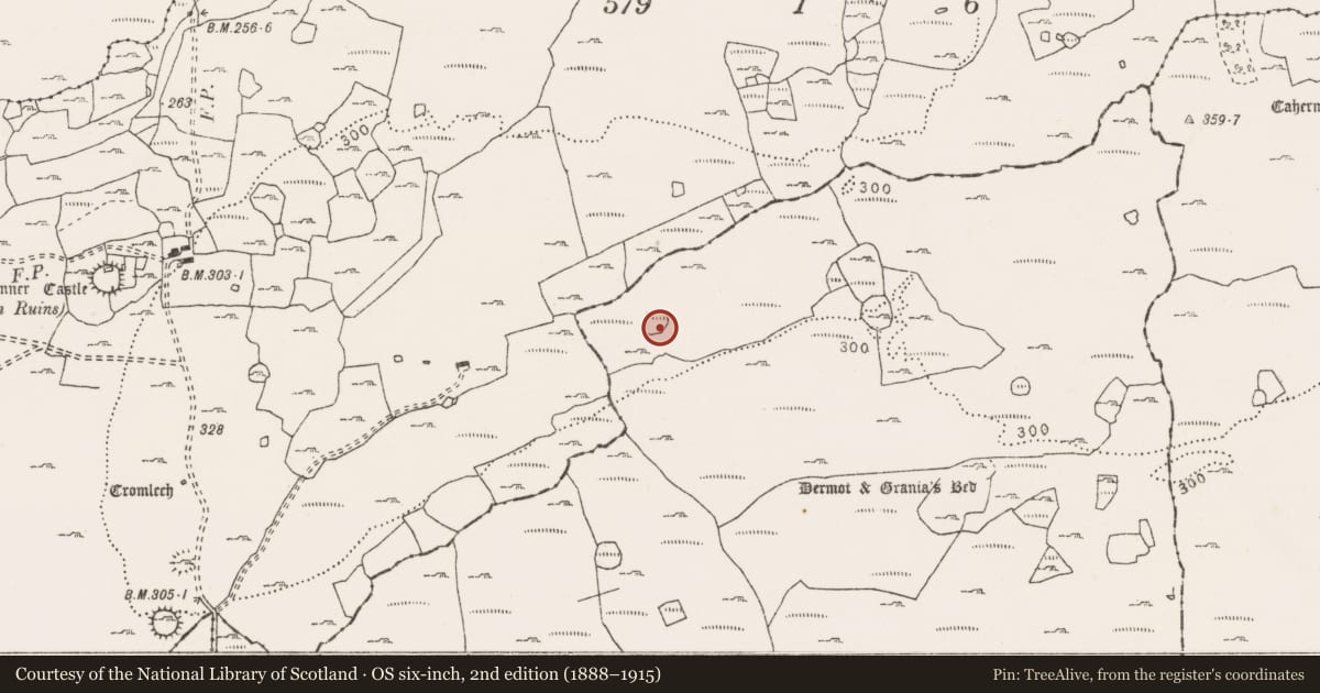 Ordnance Survey six-inch map, 2nd edition (1888–1915) covering the location of Enclosure, Clooneen, County Clare, with a pin at the register's coordinates