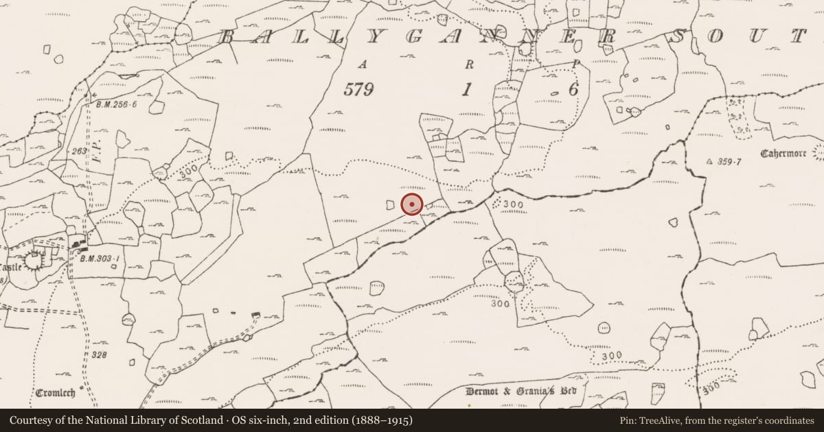 Ordnance Survey six-inch map, 2nd edition (1888–1915) covering the location of Enclosure, Ballyganner South, County Clare, with a pin at the register's coordinates