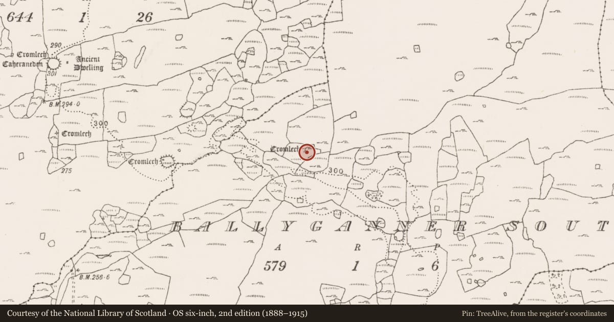 Ordnance Survey six-inch map, 2nd edition (1888–1915) covering the location of Megalithic tomb - wedge tomb, Ballyganner South, County Clare, with a pin at the register's coordinates