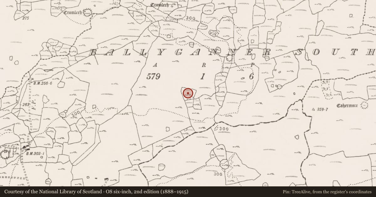 Ordnance Survey six-inch map, 2nd edition (1888–1915) covering the location of Booley hut, Ballyganner South, County Clare, with a pin at the register's coordinates