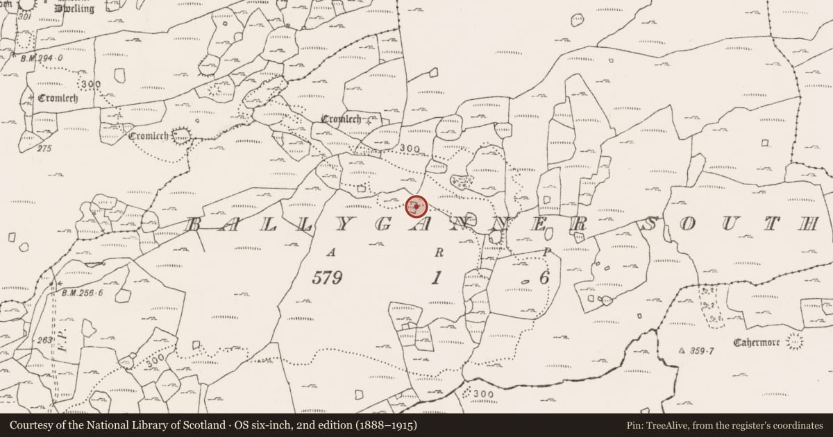 Ordnance Survey six-inch map, 2nd edition (1888–1915) covering the location of Enclosure, Ballyganner South, County Clare, with a pin at the register's coordinates