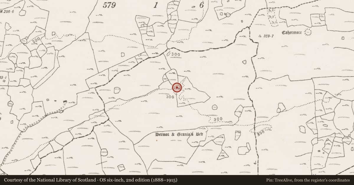 Ordnance Survey six-inch map, 2nd edition (1888–1915) covering the location of Enclosure, Clooneen, County Clare, with a pin at the register's coordinates