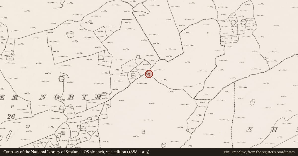 Ordnance Survey six-inch map, 2nd edition (1888–1915) covering the location of Megalithic tomb - wedge tomb, Ballyganner South, County Clare, with a pin at the register's coordinates