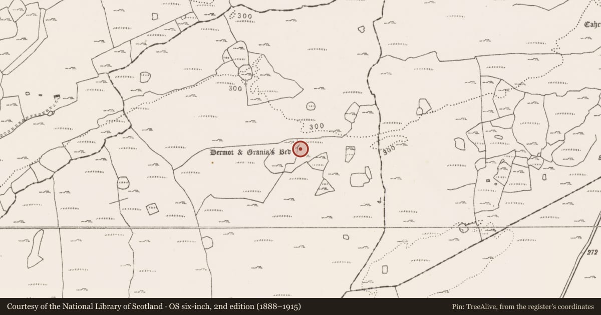 Ordnance Survey six-inch map, 2nd edition (1888–1915) covering the location of Megalithic tomb - wedge tomb, Clooneen, County Clare, with a pin at the register's coordinates