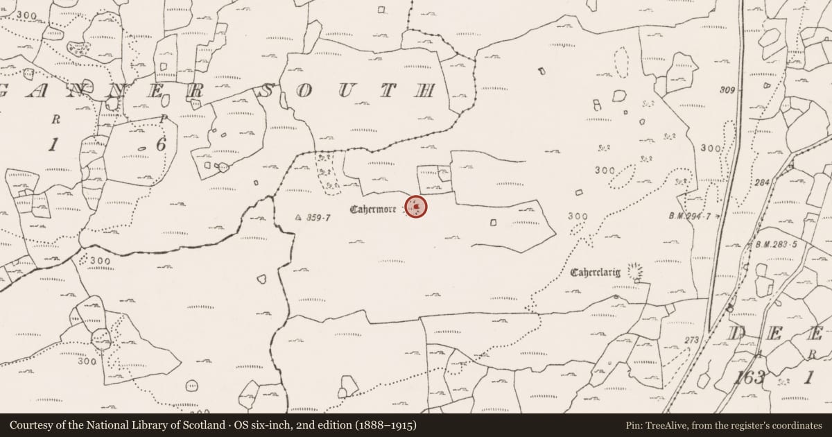 Ordnance Survey six-inch map, 2nd edition (1888–1915) covering the location of Ringfort - cashel, Sheshymore, County Clare, with a pin at the register's coordinates