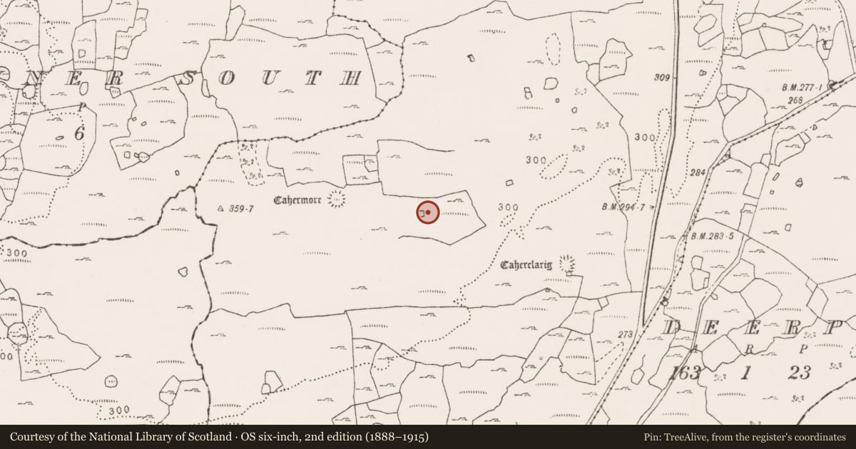 Ordnance Survey six-inch map, 2nd edition (1888–1915) covering the location of Enclosure, Sheshymore, County Clare, with a pin at the register's coordinates