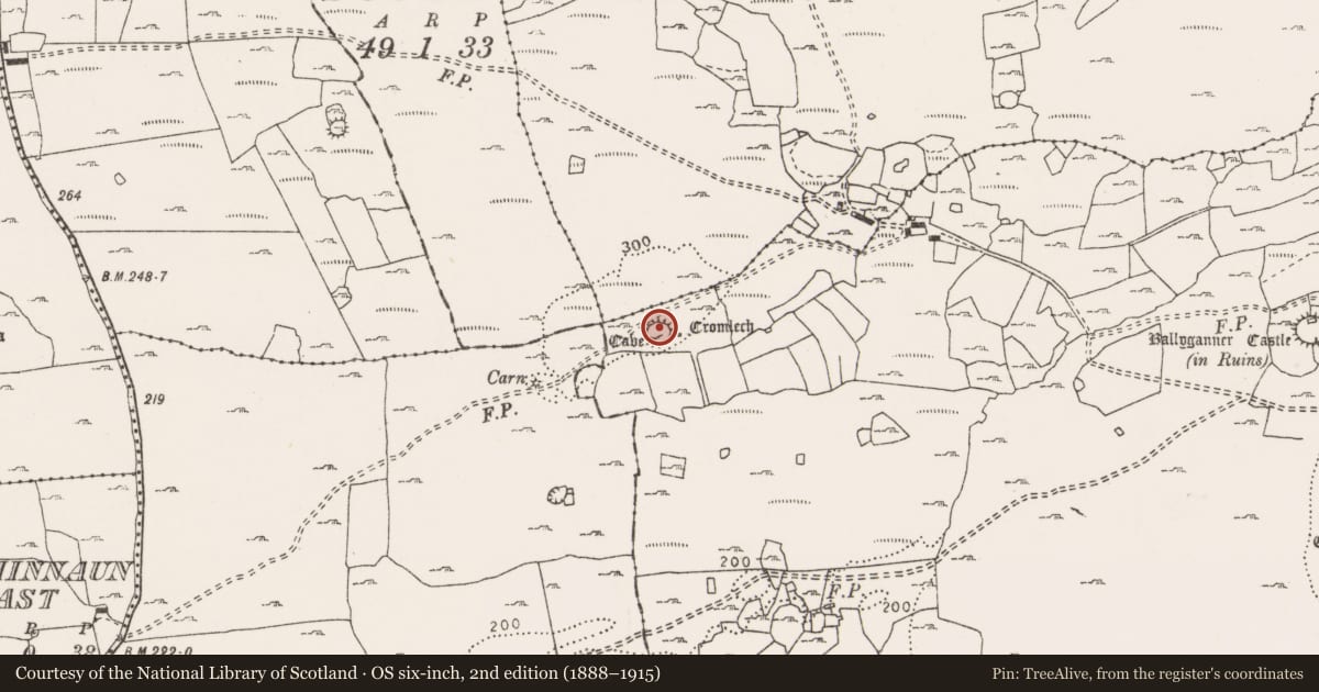 Ordnance Survey six-inch map, 2nd edition (1888–1915) covering the location of House - indeterminate date, Ballyganner South, County Clare, with a pin at the register's coordinates