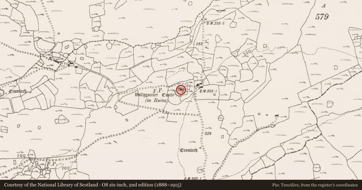 Ordnance Survey six-inch map, 2nd edition (1888–1915) covering the location of House - indeterminate date, Ballyganner South, County Clare, with a pin at the register's coordinates
