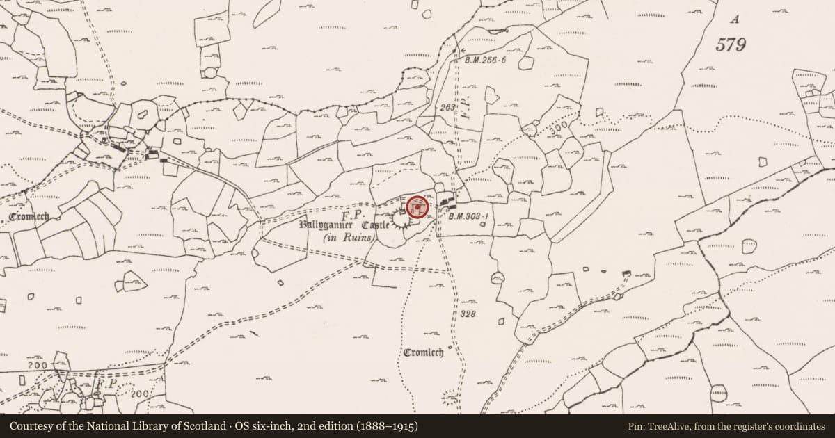 Ordnance Survey six-inch map, 2nd edition (1888–1915) covering the location of House - indeterminate date, Ballyganner South, County Clare, with a pin at the register's coordinates