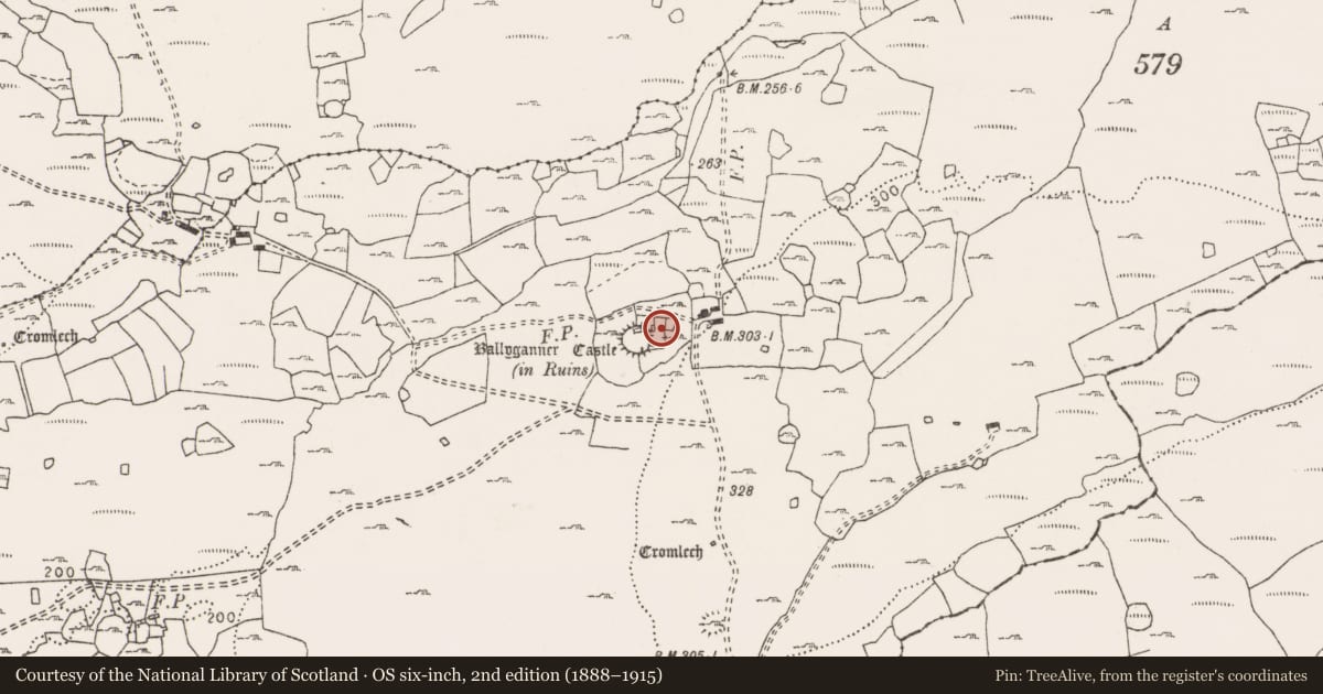 Ordnance Survey six-inch map, 2nd edition (1888–1915) covering the location of House - indeterminate date, Ballyganner South, County Clare, with a pin at the register's coordinates