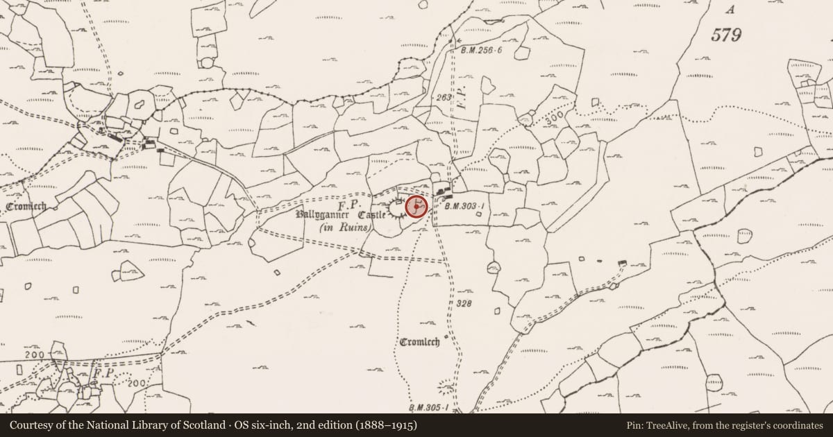 Ordnance Survey six-inch map, 2nd edition (1888–1915) covering the location of House - indeterminate date, Ballyganner South, County Clare, with a pin at the register's coordinates