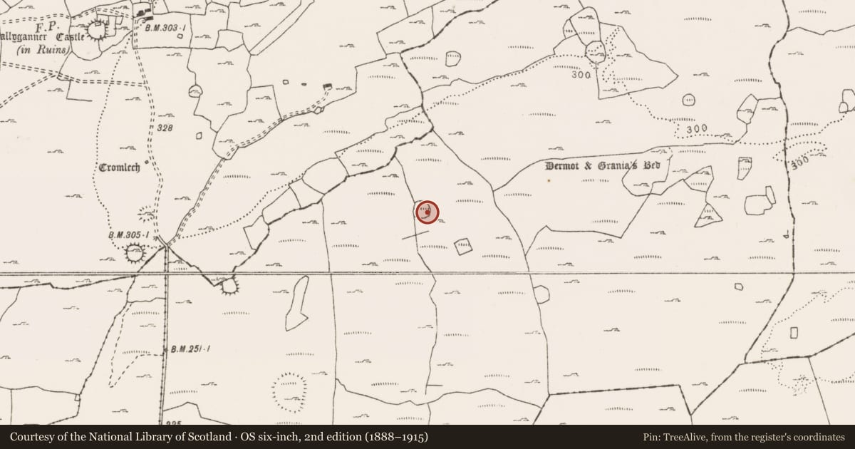 Ordnance Survey six-inch map, 2nd edition (1888–1915) covering the location of Souterrain, Clooneen, County Clare, with a pin at the register's coordinates