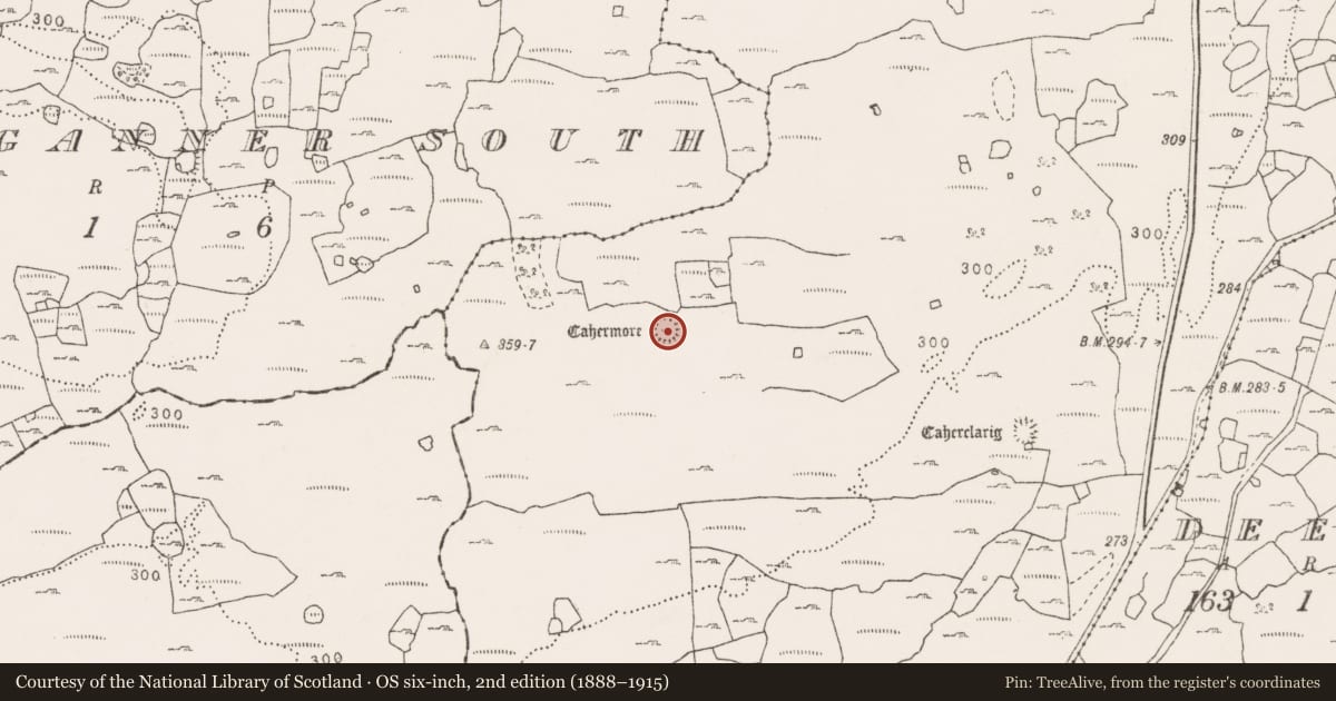 Ordnance Survey six-inch map, 2nd edition (1888–1915) covering the location of House - indeterminate date, Sheshymore, County Clare, with a pin at the register's coordinates