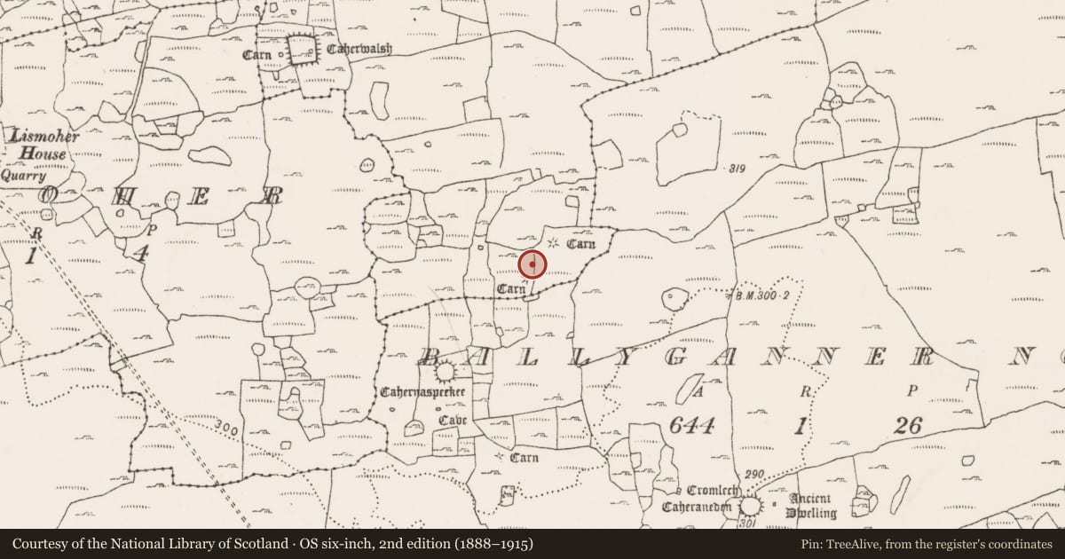 Ordnance Survey six-inch map, 2nd edition (1888–1915) covering the location of Hut site, Noughaval, County Clare, with a pin at the register's coordinates