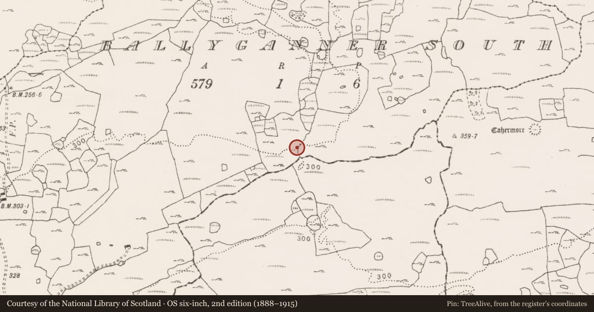 Ordnance Survey six-inch map, 2nd edition (1888–1915) covering the location of Cave, Ballyganner South, County Clare, with a pin at the register's coordinates