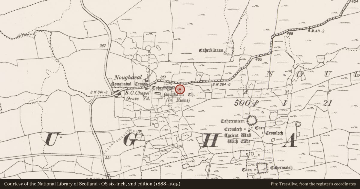 Ordnance Survey six-inch map, 2nd edition (1888–1915) covering the location of Ritual site - holy tree/bush, Noughaval, County Clare, with a pin at the register's coordinates