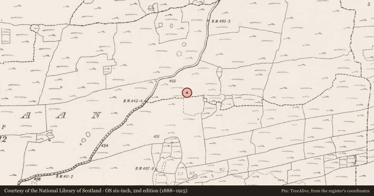 Ordnance Survey six-inch map, 2nd edition (1888–1915) covering the location of Enclosure, Kiltaan, Noughaval, County Clare, with a pin at the register's coordinates
